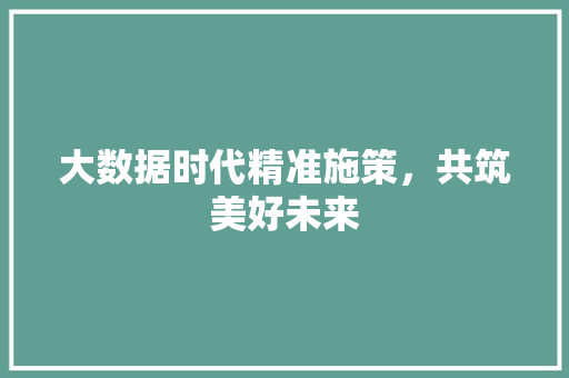 大数据时代精准施策，共筑美好未来