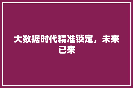 大数据时代精准锁定，未来已来