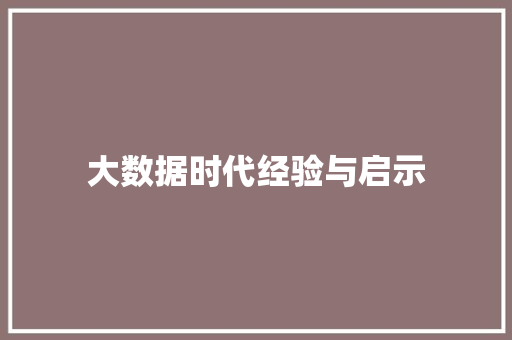 大数据时代经验与启示