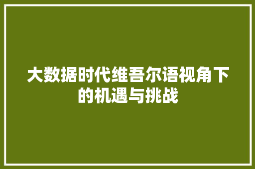 大数据时代维吾尔语视角下的机遇与挑战