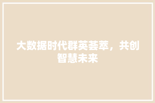 大数据时代群英荟萃，共创智慧未来