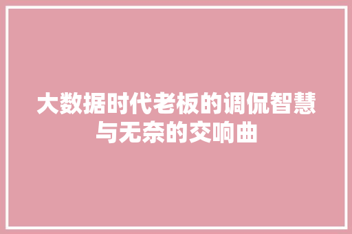 大数据时代老板的调侃智慧与无奈的交响曲