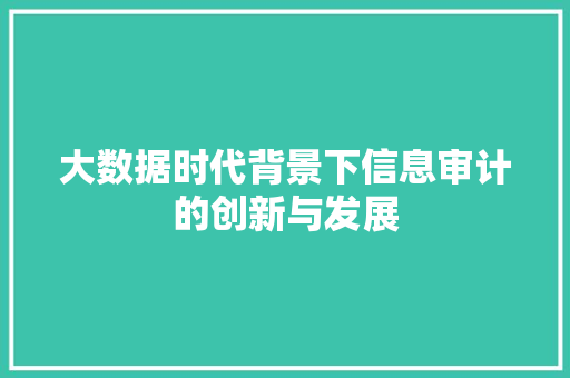 大数据时代背景下信息审计的创新与发展
