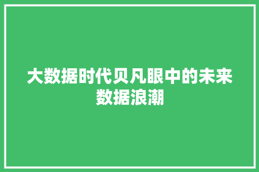 大数据时代贝凡眼中的未来数据浪潮