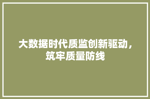 大数据时代质监创新驱动，筑牢质量防线