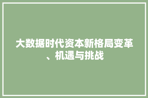 大数据时代资本新格局变革、机遇与挑战