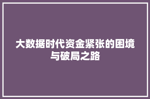 大数据时代资金紧张的困境与破局之路