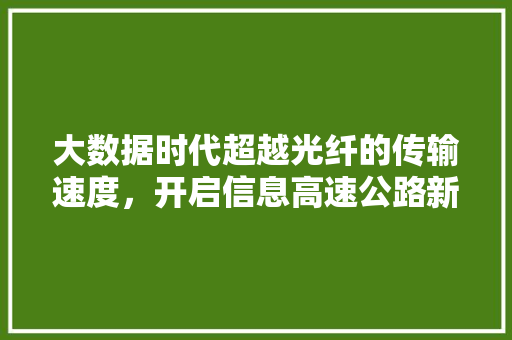 大数据时代超越光纤的传输速度，开启信息高速公路新纪元