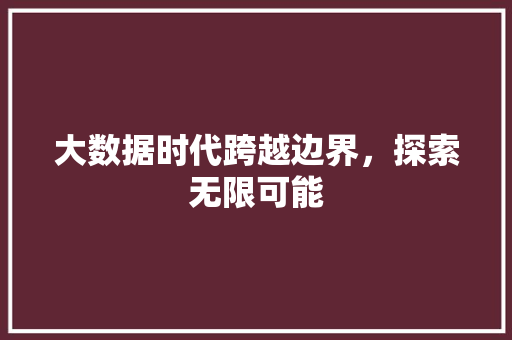 大数据时代跨越边界，探索无限可能