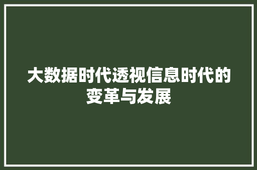 大数据时代透视信息时代的变革与发展