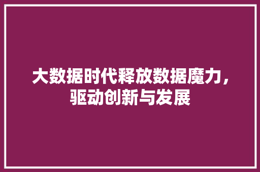 大数据时代释放数据魔力，驱动创新与发展