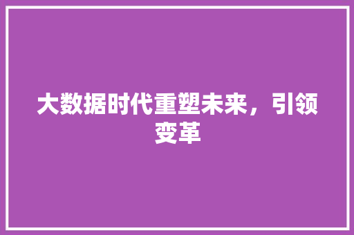 大数据时代重塑未来，引领变革