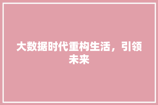 大数据时代重构生活，引领未来
