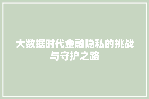 大数据时代金融隐私的挑战与守护之路