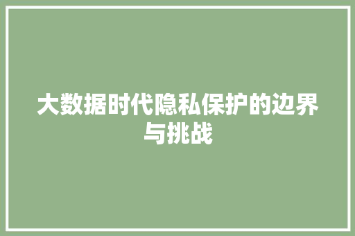 大数据时代隐私保护的边界与挑战