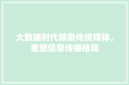 大数据时代颠覆传统媒体，重塑信息传播格局