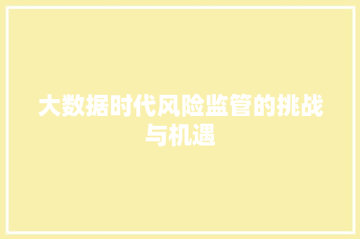 大数据时代风险监管的挑战与机遇