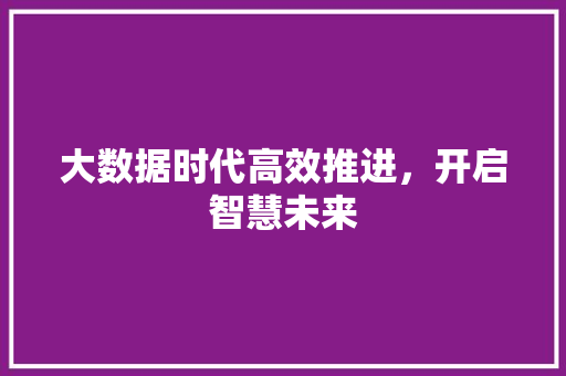 大数据时代高效推进，开启智慧未来