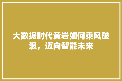 大数据时代黄岩如何乘风破浪，迈向智能未来