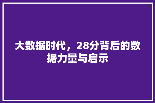 大数据时代，28分背后的数据力量与启示