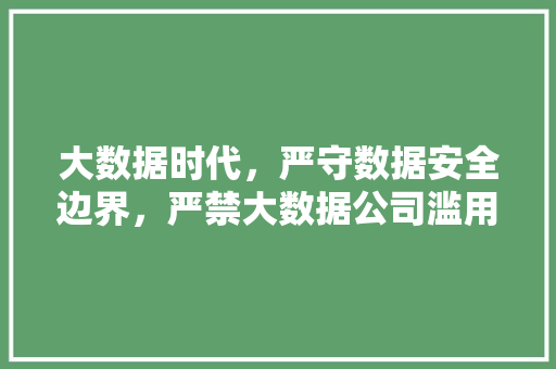 大数据时代，严守数据安全边界，严禁大数据公司滥用数据权益