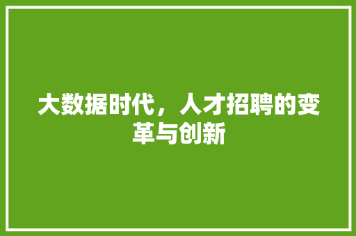 大数据时代，人才招聘的变革与创新