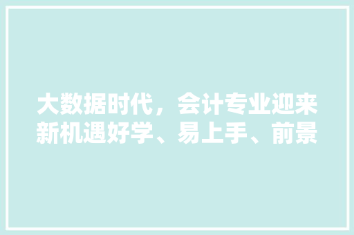 大数据时代,会计专业迎来新机遇好学、易上手、前景广阔 大数据时代,会计专业迎来新机遇好学、易上手、前景广阔