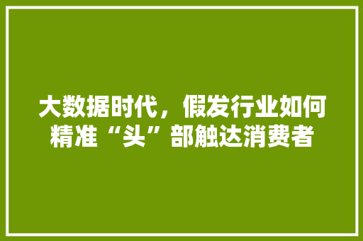大数据时代，假发行业如何精准“头”部触达消费者