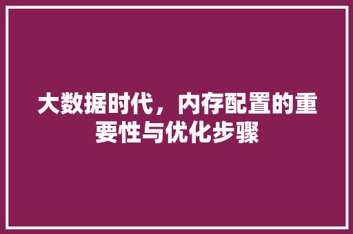 大数据时代，内存配置的重要性与优化步骤
