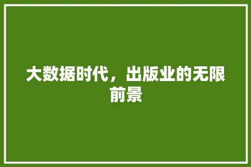大数据时代，出版业的无限前景