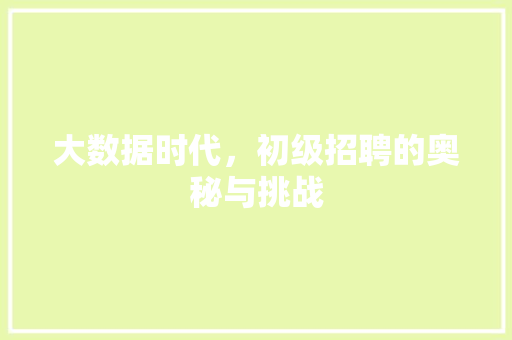 大数据时代，初级招聘的奥秘与挑战