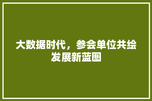 大数据时代，参会单位共绘发展新蓝图