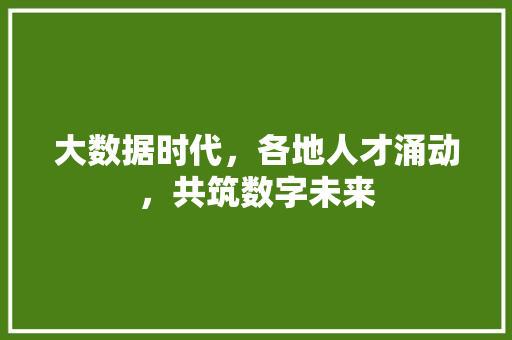 大数据时代，各地人才涌动，共筑数字未来