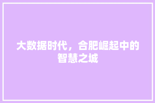 大数据时代,合肥崛起中的智慧之城 大数据时代,合肥崛起中的智慧之城