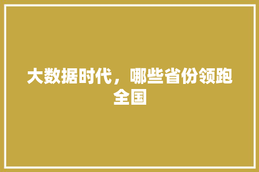 大数据时代,哪些省份领跑全国 大数据时代,哪些省份领跑全国