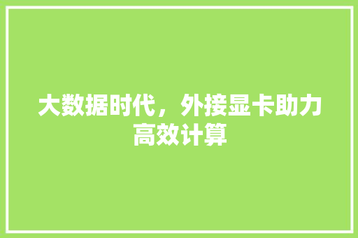 大数据时代,外接显卡助力高效计算 大数据时代,外接显卡助力高效计算