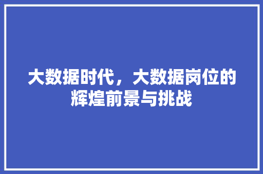 大数据时代,大数据岗位的辉煌前景与挑战 大数据时代,大数据岗位的辉煌前景与挑战