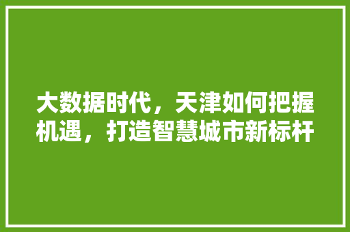 大数据时代,天津如何把握机遇,打造智慧城市新标杆 大数据时代,天津如何把握机遇,打造智慧城市新标杆