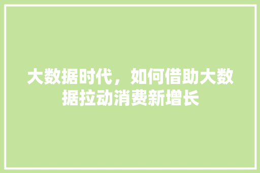 大数据时代，如何借助大数据拉动消费新增长