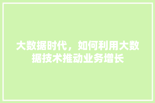 大数据时代，如何利用大数据技术推动业务增长 电脑基础