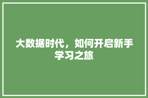 大数据时代,如何开启新手学习之旅 大数据时代,如何开启新手学习之旅