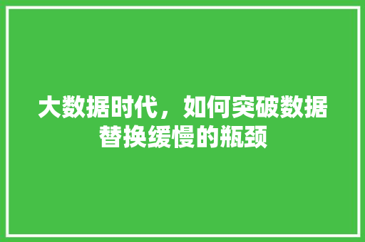 大数据时代，如何突破数据替换缓慢的瓶颈