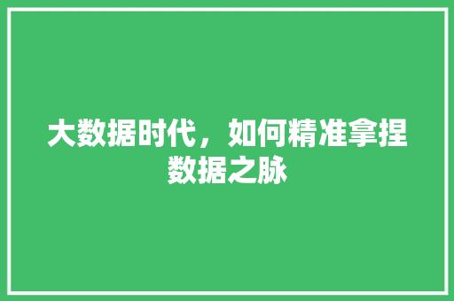 大数据时代，如何精准拿捏数据之脉