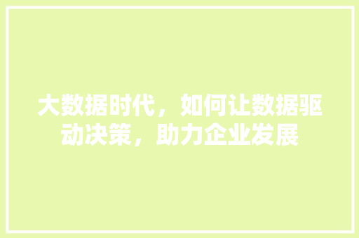 大数据时代，如何让数据驱动决策，助力企业发展