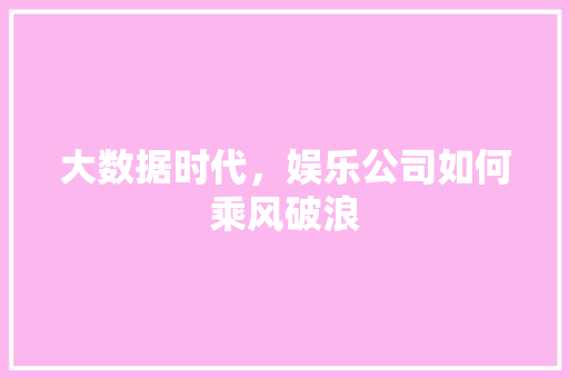 大数据时代,娱乐公司如何乘风破浪 大数据时代,娱乐公司如何乘风破浪
