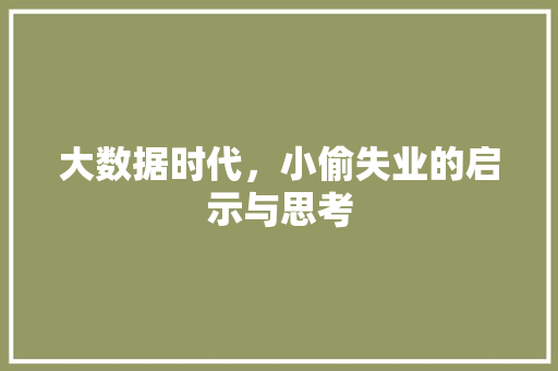 大数据时代，小偷失业的启示与思考 电脑故障维修