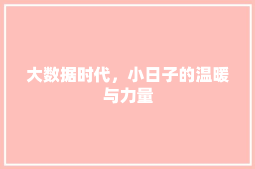 大数据时代,小日子的温暖与力量 大数据时代,小日子的温暖与力量