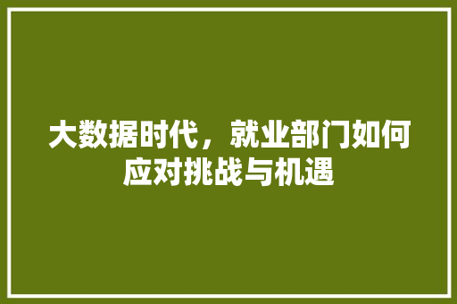 大数据时代，就业部门如何应对挑战与机遇