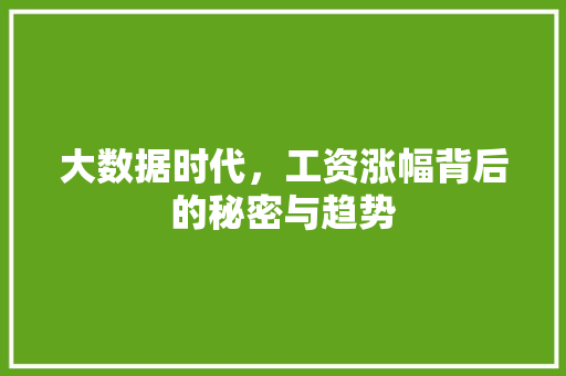 大数据时代，工资涨幅背后的秘密与趋势