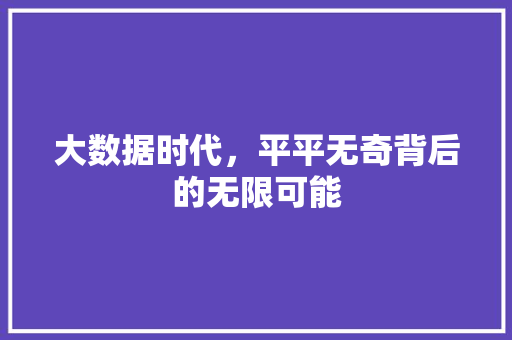 大数据时代，平平无奇背后的无限可能